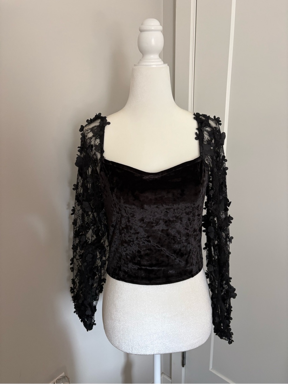 Altard state Black Velvet Square-Neck Top with Embellished Sheer Sleeves